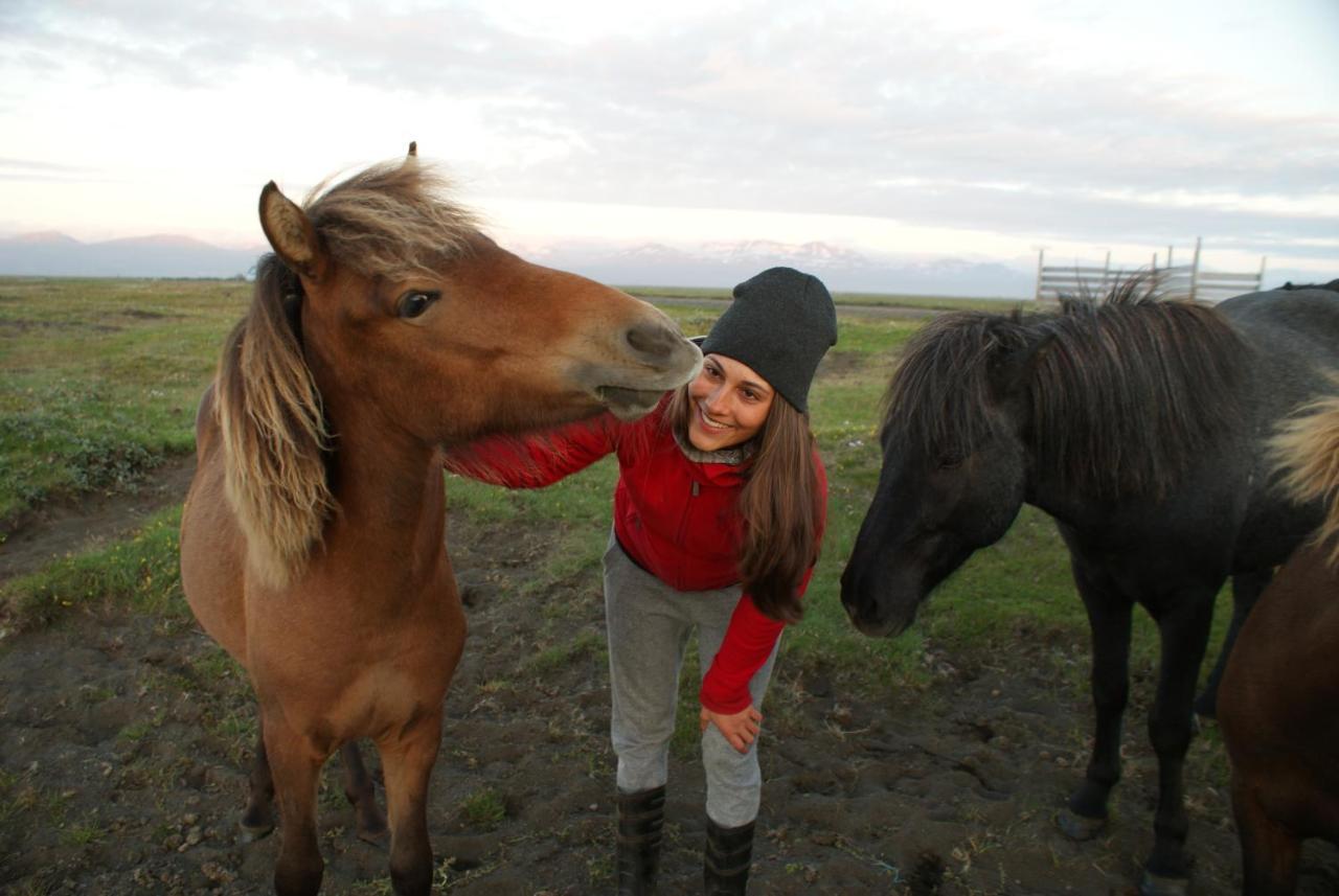 Husey Hostel & Horsefarm เอยิลส์สตาดีร์ ภายนอก รูปภาพ